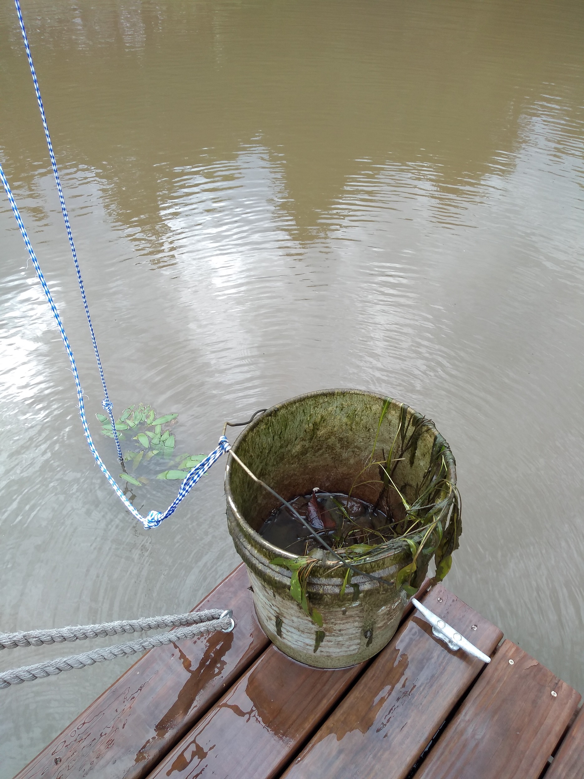 Attached picture Hanging Bucket 01.jpg